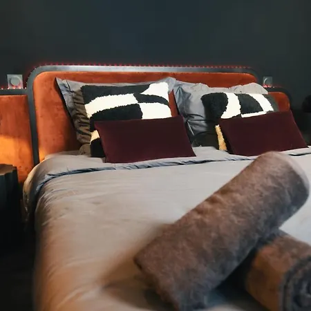 Apartment Cinema L'unique Experience By Noma Saint-Etienne (Loire)